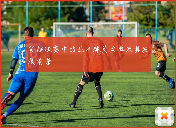 英超联赛中的亚洲球员名单及其发展前景