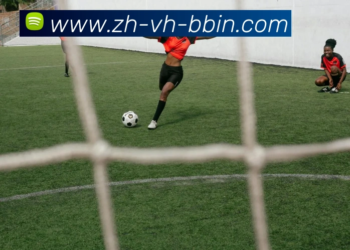 bbin宝盈发展历程